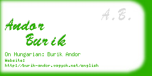 andor burik business card